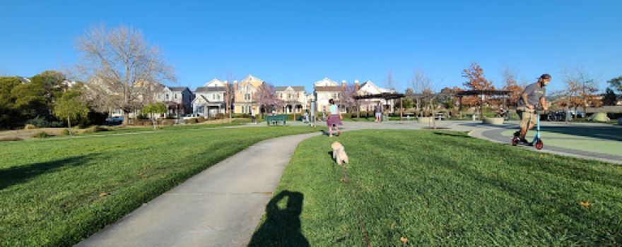 Frog Pad Park