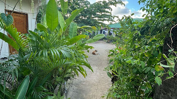 Hands of Gold Massage Siargao