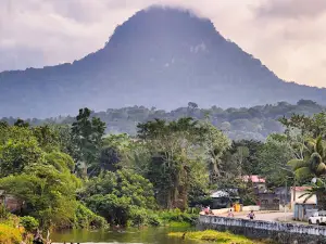 Pico Papagaio