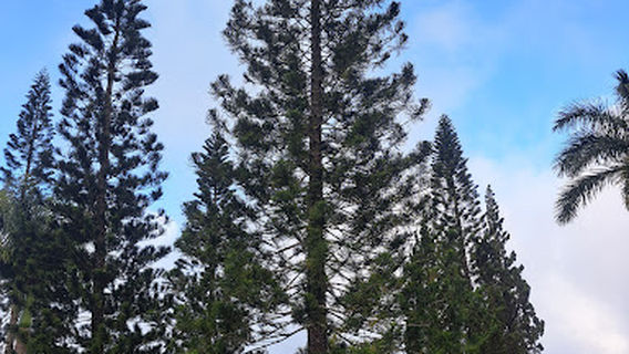 Rumah Retret Kemah Tabor Mataloko