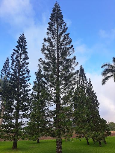 Rumah Retret Kemah Tabor Mataloko