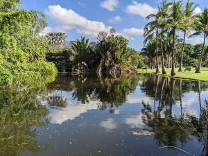 The Palmetum