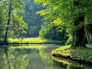 Mošovský Park