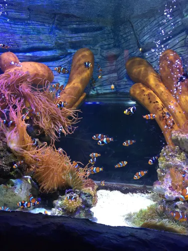 SEA LIFE Great Yarmouth