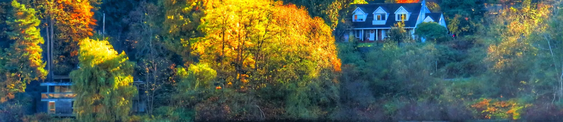 Paysages d’automne