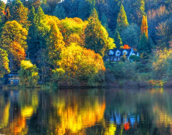 本那比 自由行套票