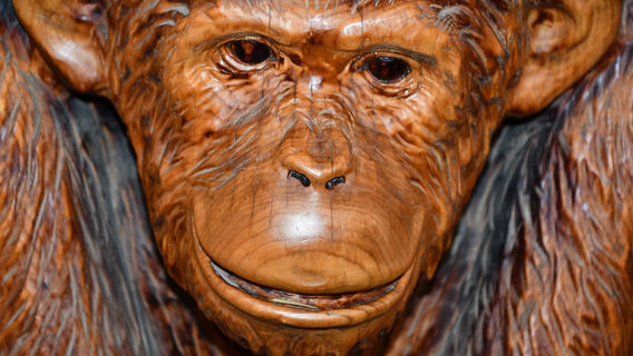 West Coast Game Park Safari