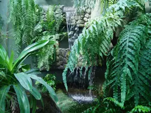 The Municipal Palm House, Gliwice
