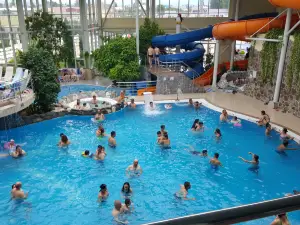 Aquatic Paradise