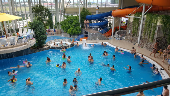 Aquatic Paradise