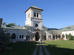 Manăstirea Dealu