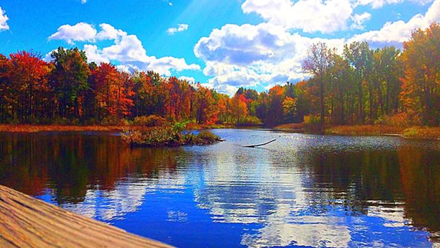 North Chagrin Reservation