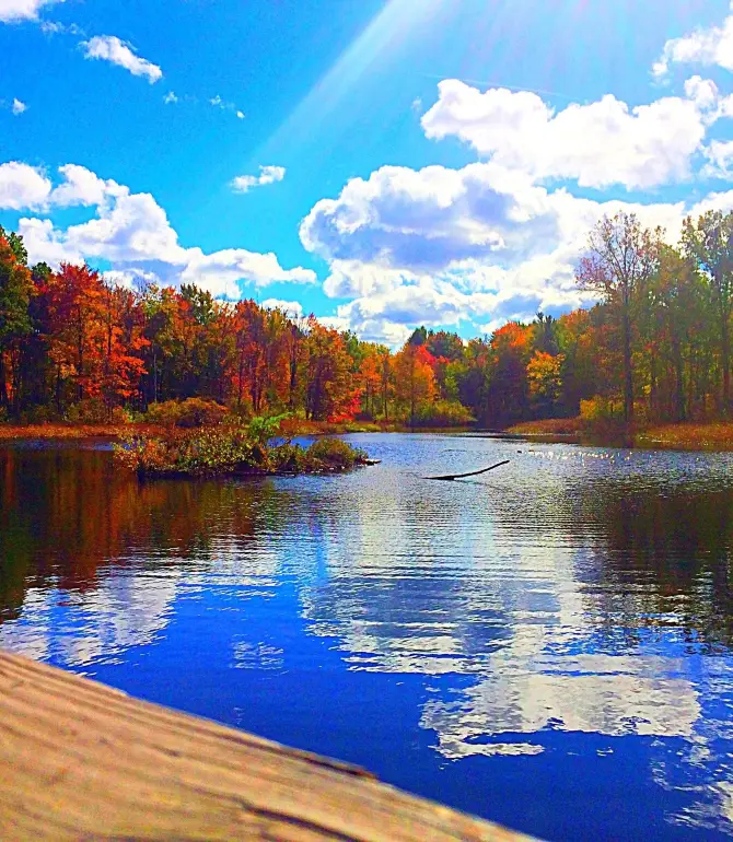 Willoughby Hills