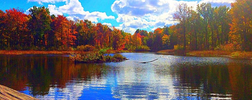 North Chagrin Reservation