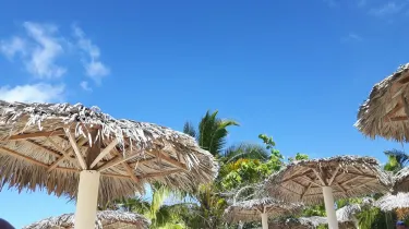 Guardalavaca