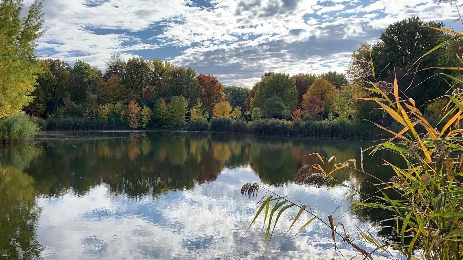Hotels near Parc Angrignon