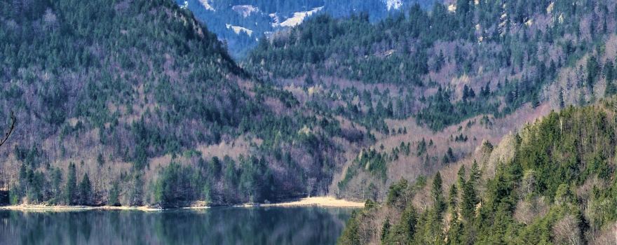 Alpsee