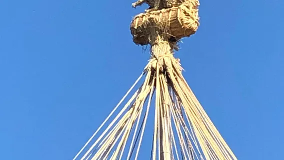 Musashino Central Park