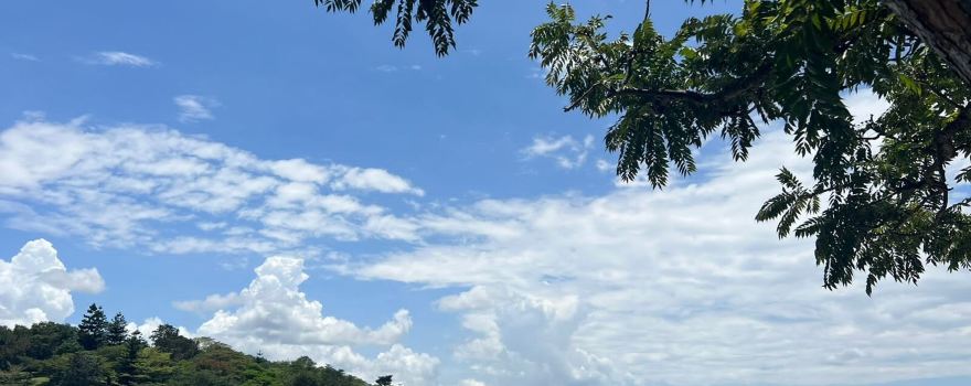 Bukaya