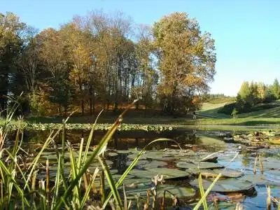 Hotels near Botanical Garden