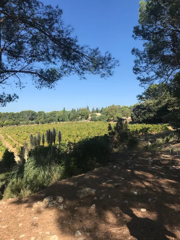 3_Domaine Saint Jean