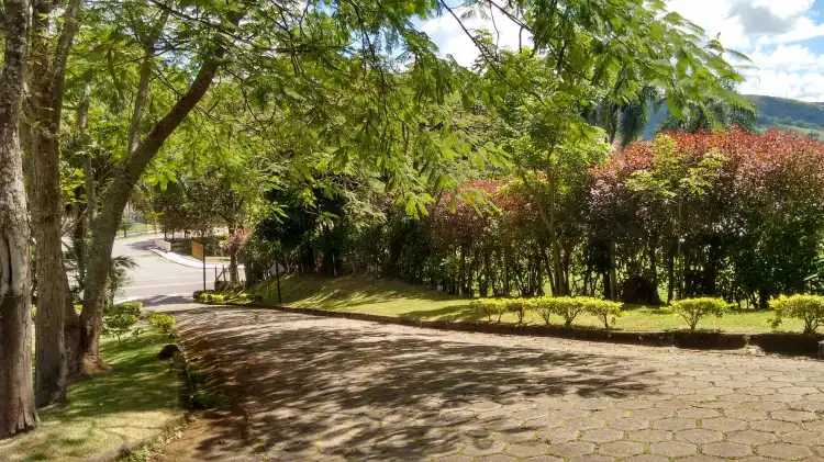 Lindoia