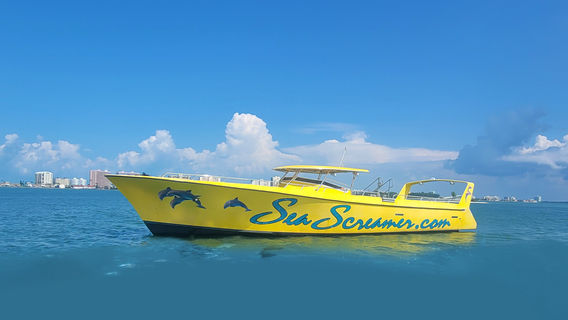 Sea Screamers of Clearwater