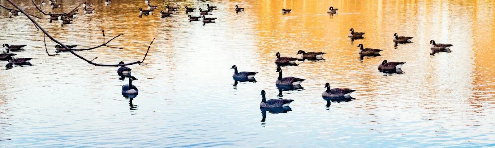 Кеннетт ТауншипТуристические услуги
