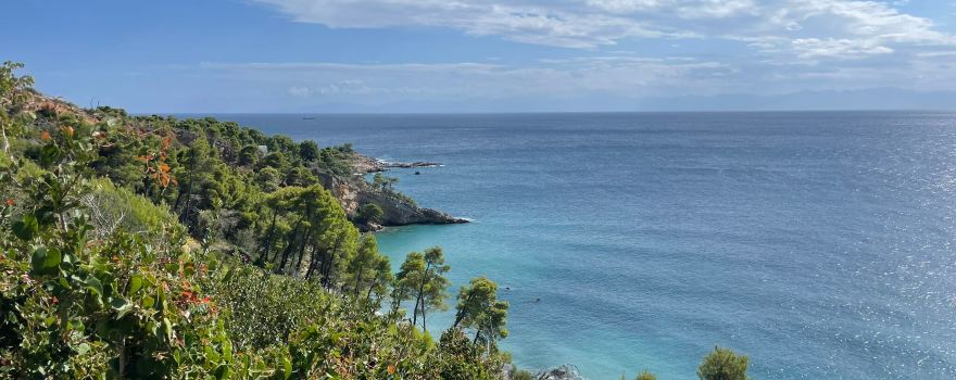 Vithisma Beach