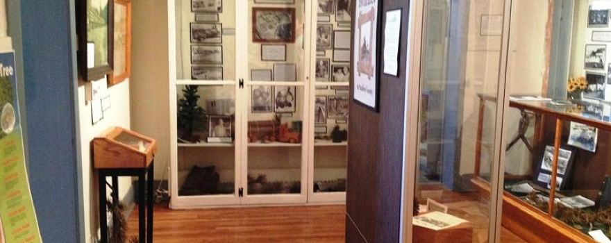 Old Jail Museum