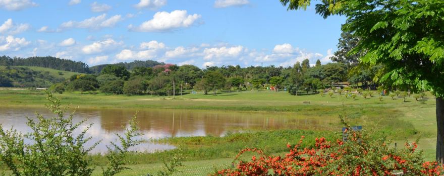 Parque da Cidade