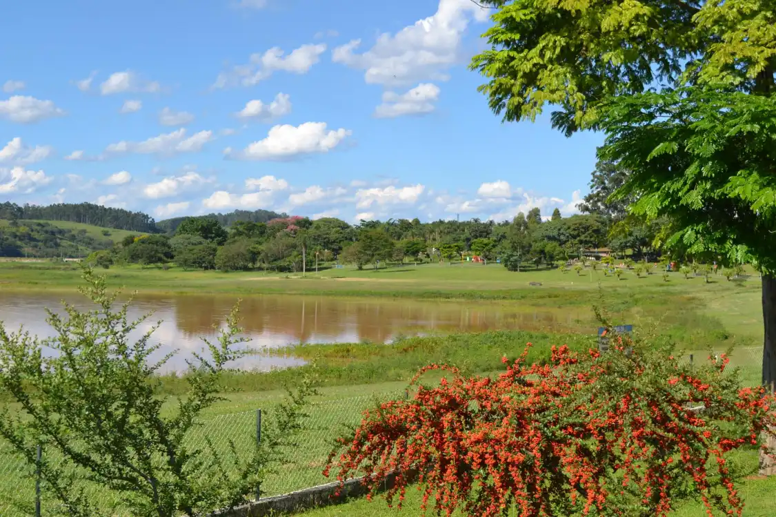 Hotels near Parque da Cidade