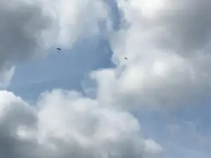 Virginia Skydiving Center