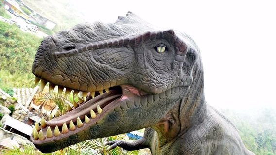 Dinosaurs Island Baguio