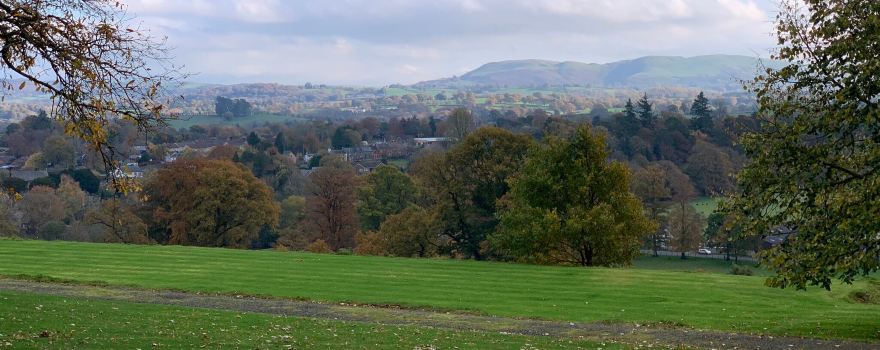 Llysdinam Gardens