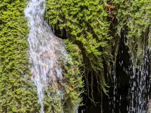 Cascate Kot