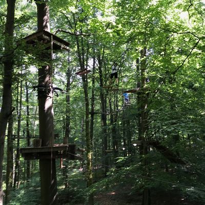 Kletterwald Giessen