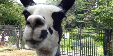 Forsythe Nature Center