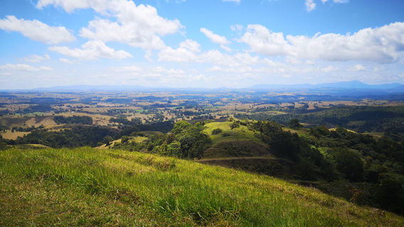 Gentle Annie Lookout, Milla Milla