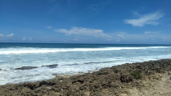 Surfer's Beach