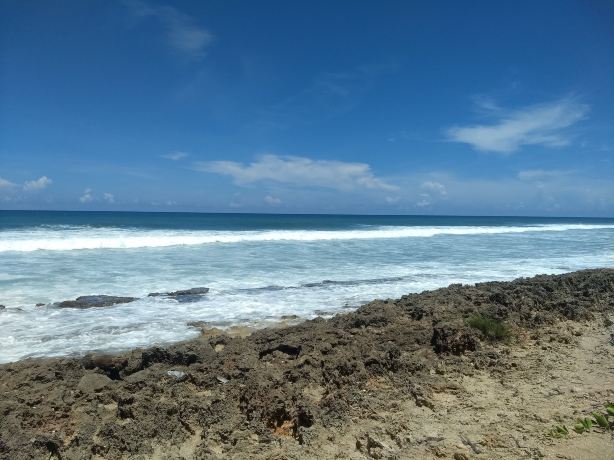 Surfer's Beach