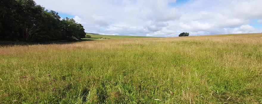 Hunderthwaite