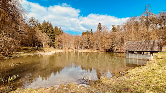 Aglasterhausen