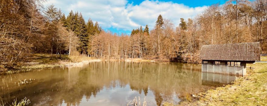 Michelsee