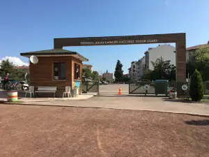 Memorial Forest