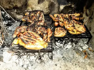 Camping Municipal Tupungato