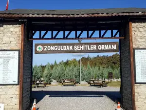 Zonguldak Martyrs' Forest
