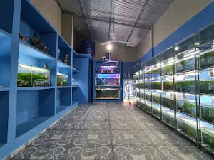 ESCALAR Acuarios