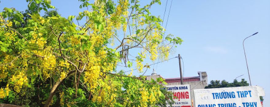 Chùa Bắc Thành Phố