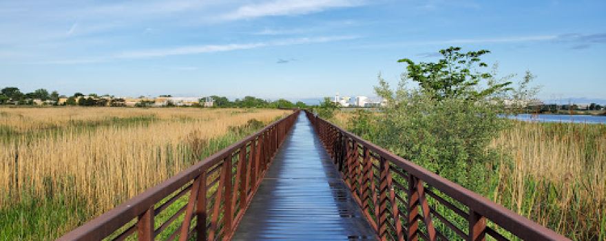 Mill Creek Point Park